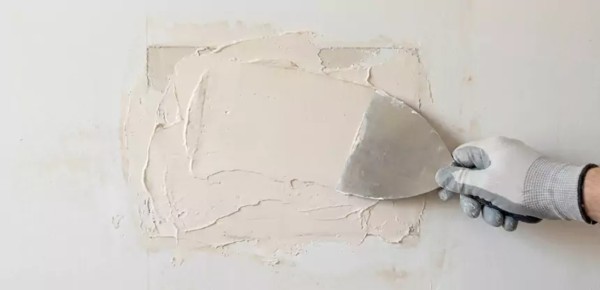 Professional Mold and Drywall Repair Services in Pine, CO