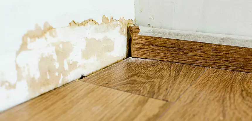Professional Fix Water Damaged Wood Services in Pine, CO