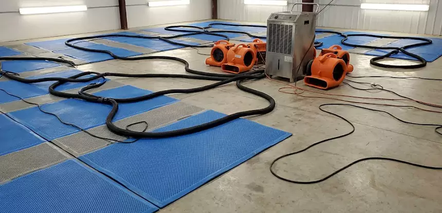 Professional Flooded Carpet Drying Services in Pine, CO