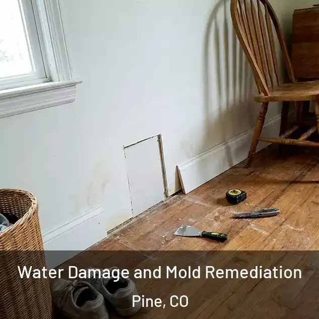  Water Damage and Mold Remediation Pine, CO